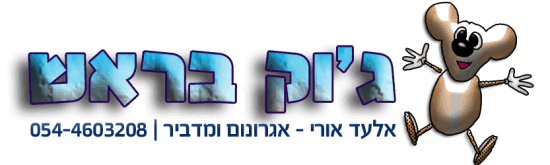 ג'וק בראש