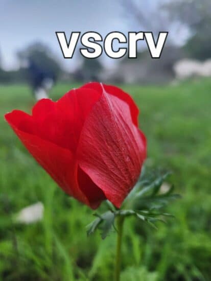 vscrv