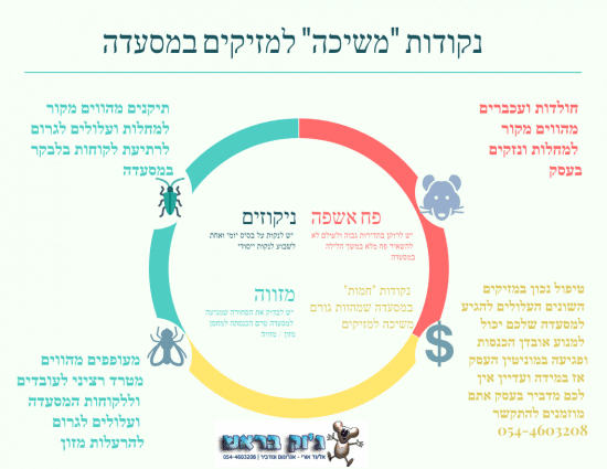 הדברה לעסק